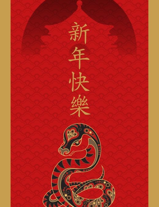 Happy Lunar New Year 2013!