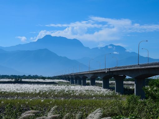 USTBC President Taipei Times Editorial: New Dawn in Taiwan Foreign Policy